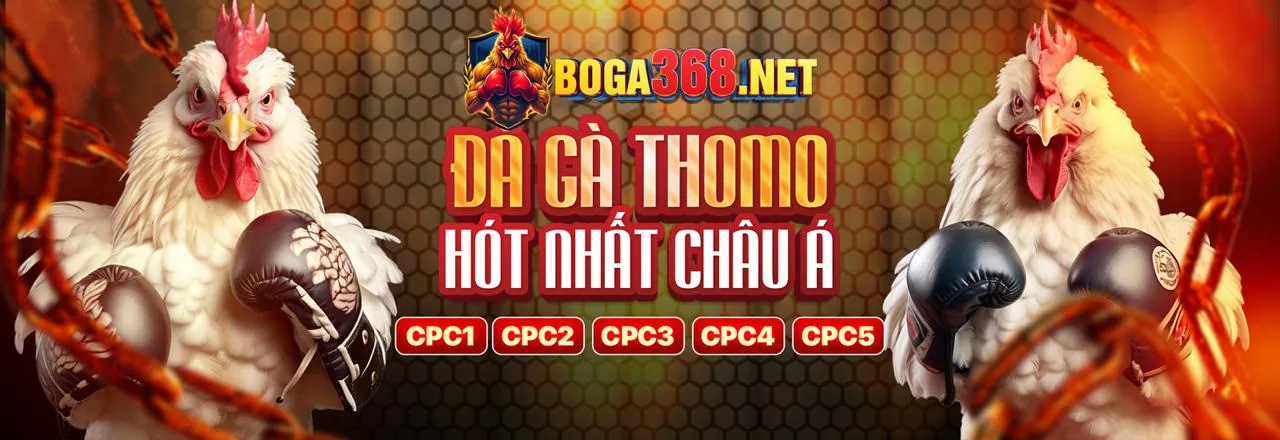 Chiến lược cá cược thể thao fun88 hiệu quả